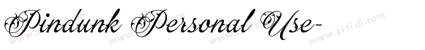 Pindunk Personal Use字体转换